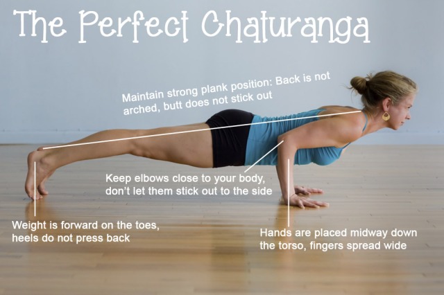 DON'T hug your elbows in during chaturanga? – Tanory Yoga & Mindfulness